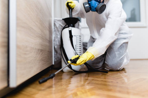 Best Pest Inspection Near Me  in Lutz, FL