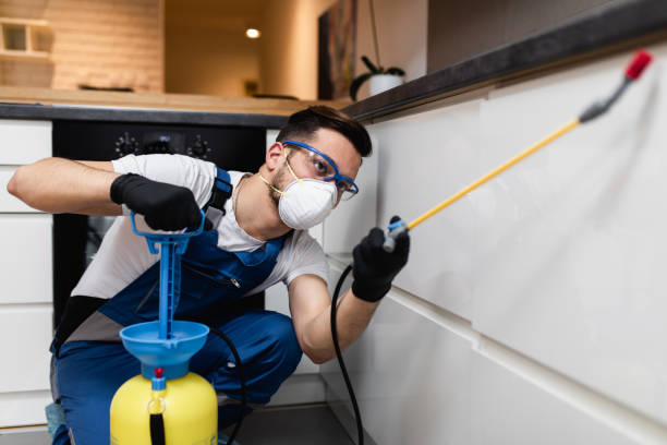 Best Best Pest Control Companies  in Lutz, FL