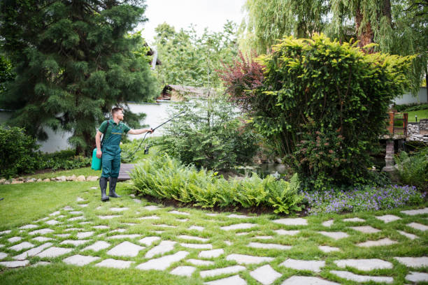 Best Best Pest Control Companies  in Lutz, FL