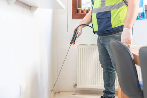 Best Emergency Pest Control  in Lutz, FL